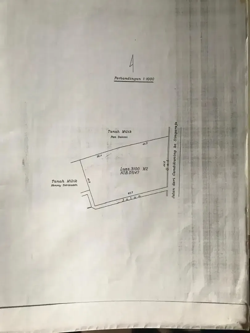 Dijual tanahjalan utama Raya Bedugul, Baturiti, Bali, Langsung Pemilik - Image 4 of 4