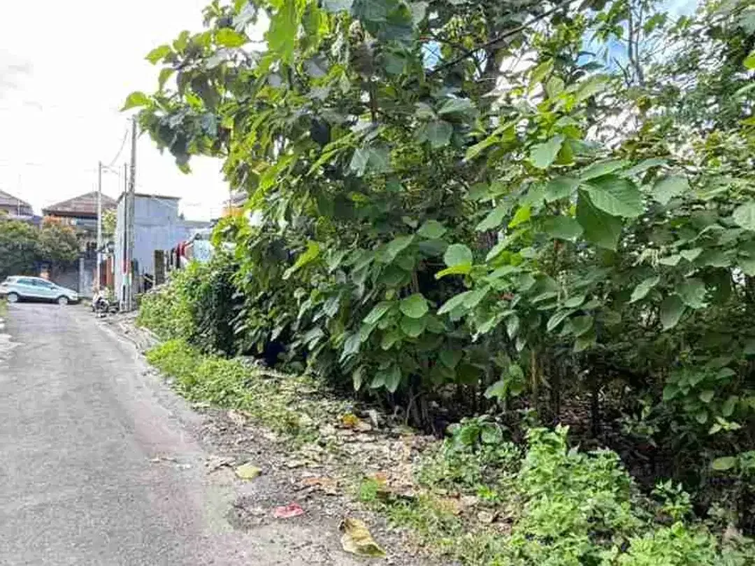 Dijual Tanah 200m2 di Kutuh Cocok Untuk Villa - Image 4 of 8