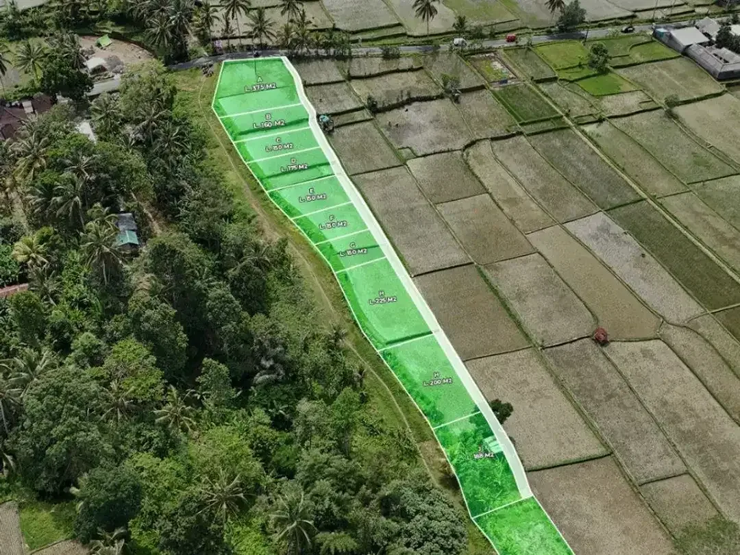Rare! Tanah Kavling View Sawah – Lingkungan Asri, Legalitas Aman - Image 2 of 10