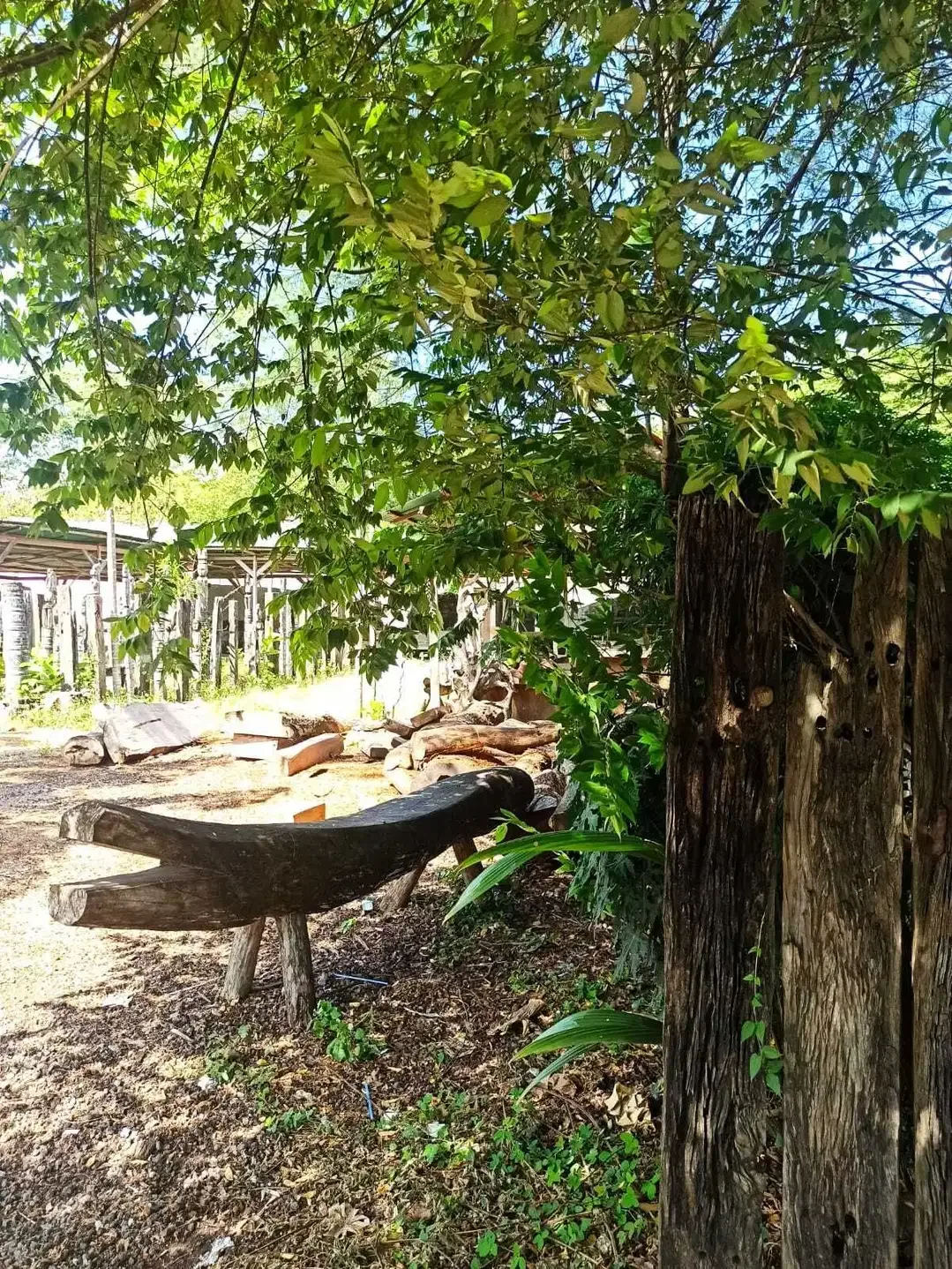 DIJUAL TANAH DI JALAN RAYA SUNSET ROAD KUTA BALI - Image 7 of 9