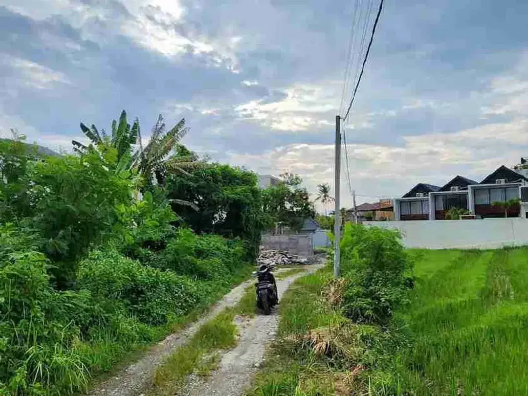 Jarang Ada Tanah Kecil 150 meter dari Pantai Pererenan - Image 4 of 6
