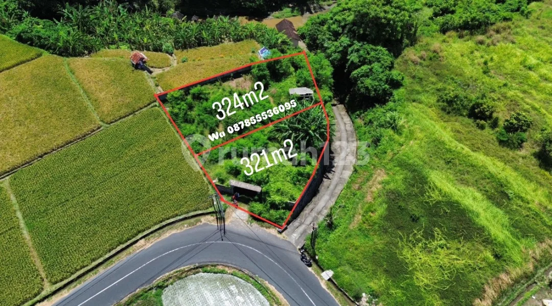 Jual Tanah Murah View Sungai Sawah dan Jungle Dekat Ubud - Image 2 of 4