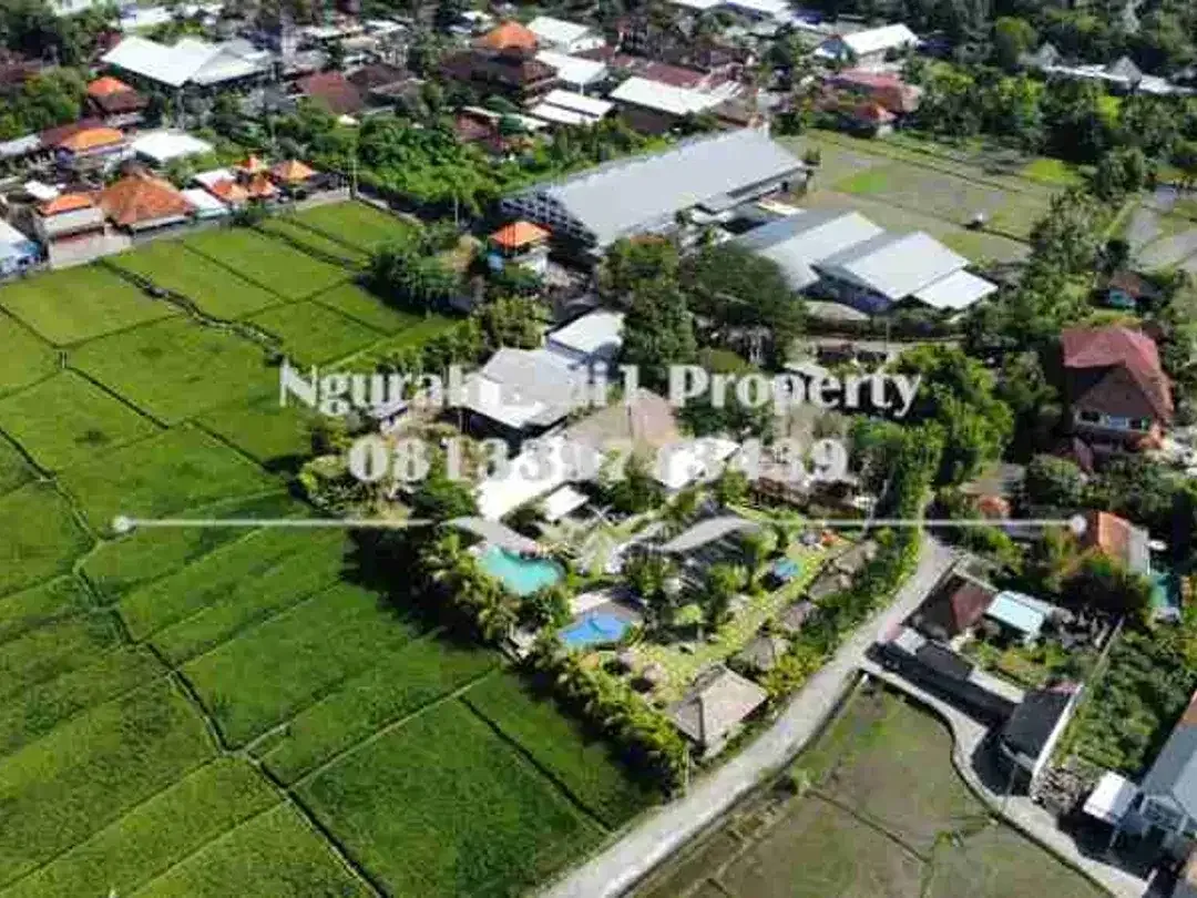 Land For Rent Murah 2160 m2 View Sawah Kawasan Villa di Ubud - Image 6 of 6