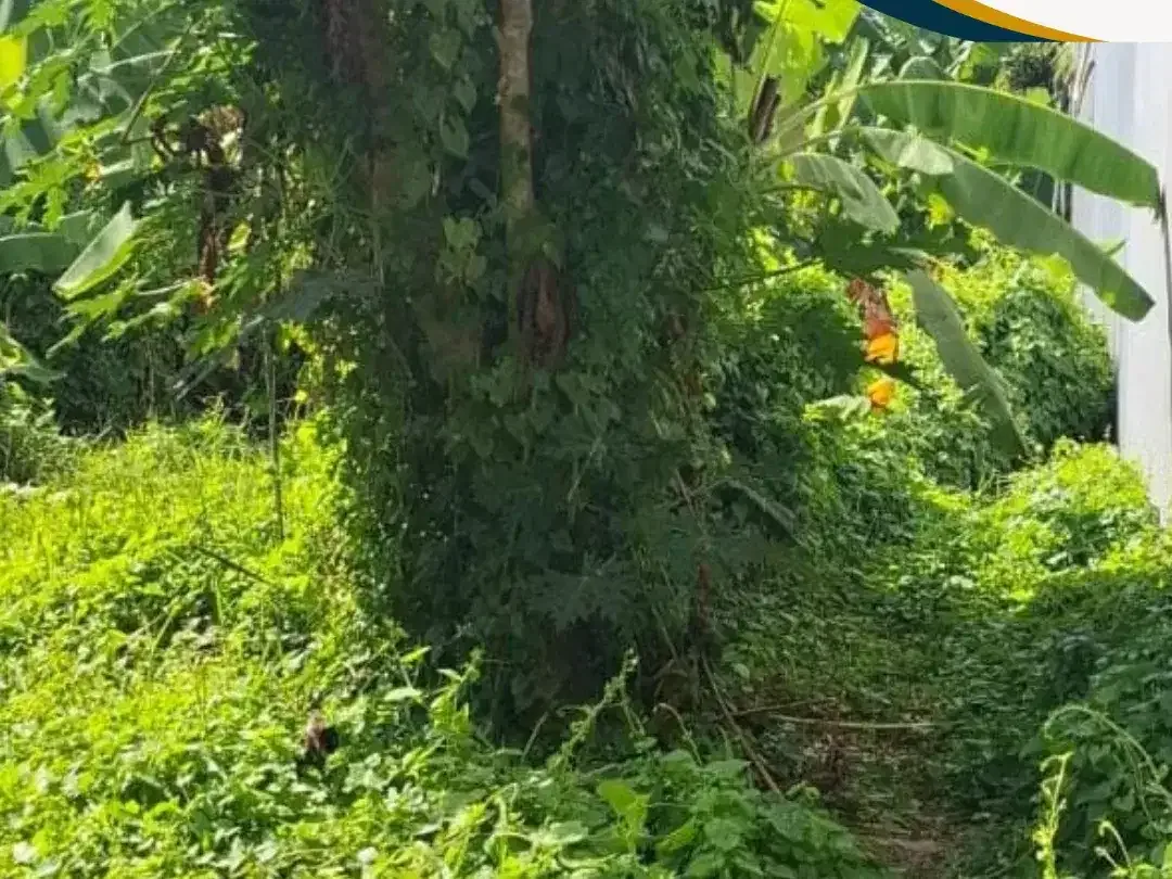 DI JUAL TANAH PINGGIR JLN UTAMA / COCOK UNTUK SEGALA JENIS USAHA - Image 1 of 5
