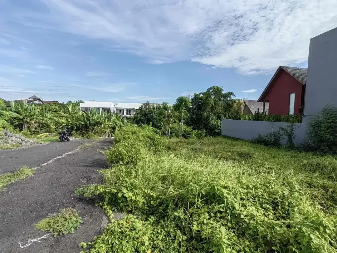 Tanah Premium Jl Subak Canggu - Image 9 of 10