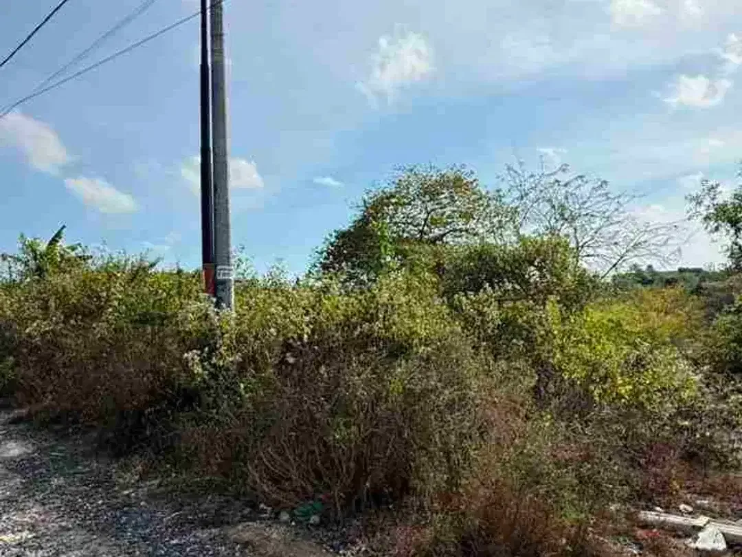 tanah dekat Unud Jimbaran bali - Image 8 of 10