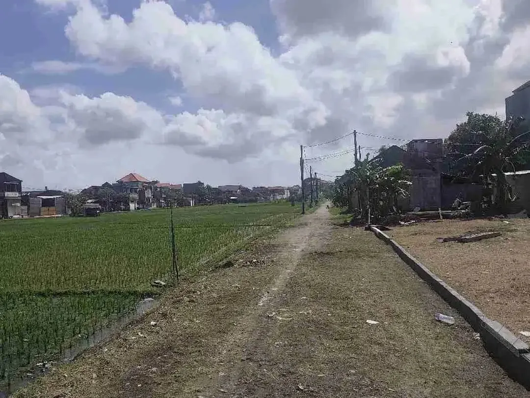 Jual Tanah 162meter ( Tinggal 1 kavling) Lokasi Jl Pura Demak, Denpasar, area Strategis & Tidak Banjir Hadap Selatan & Zona Kuning View Sawah.od - Image 1 of 8