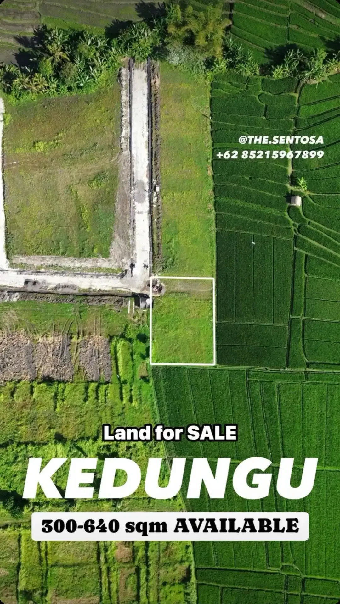 KEDUNGU LAND FOR SALE NEAR NUANU LUNA BEACH CLUB - Image 1 of 10