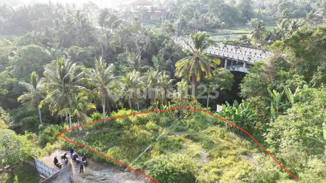 Riverside SHM Land 6.68 Sqm Gianyar Ubud Jungle & River View V287 - Image 2 of 4