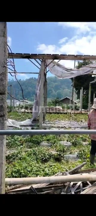 1000m2 siap bangun Villa view Lake Bedugul Buleleng Bali - Image 4 of 4