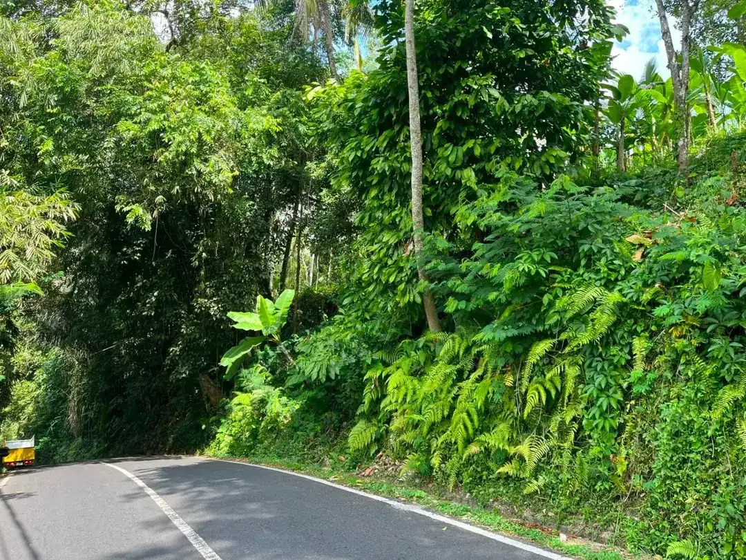 DIJUAL TANAH PREMIUM – PINGGIR JALAN UTAMA DESA BUAHAN, PAYANGAN – GIANYAR - Image 5 of 10