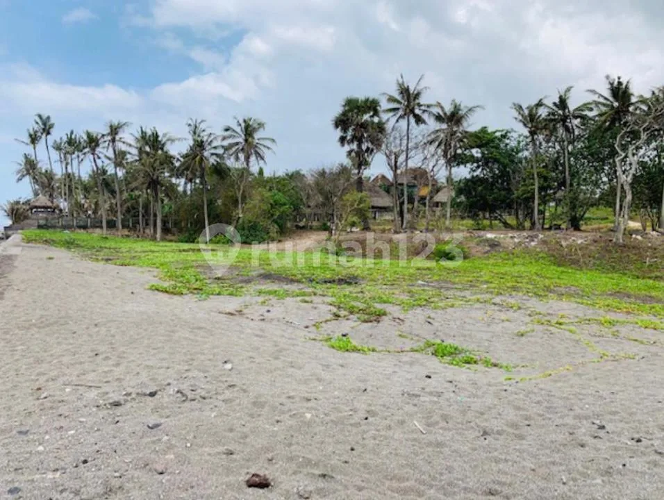 Dijual Cepat Tanah Beachfront View Ocean di Pantai Cemagi, Canggu - Image 3 of 4