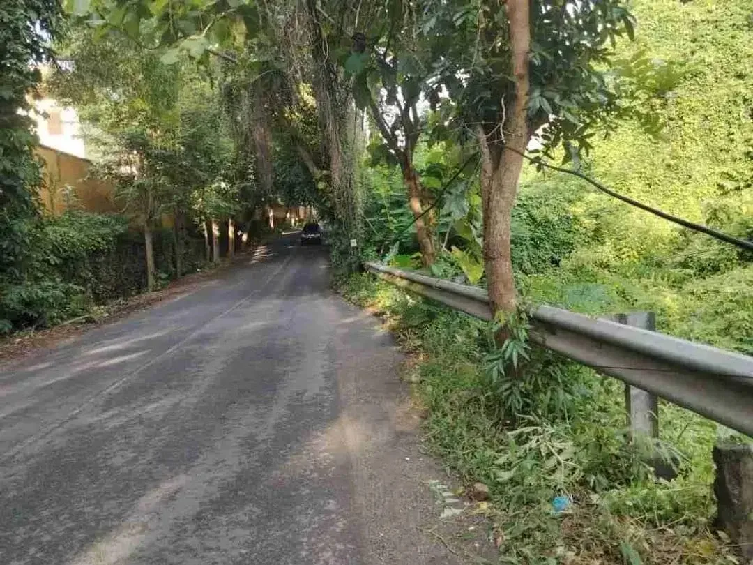 Tanah premium jln raya karang mas jimbaran 900m2 idr 8,5jt/m2 - Image 8 of 9