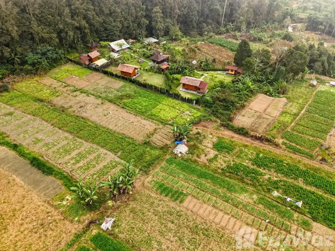 Land for sale in Baturiti, Bali - Image 2 of 5
