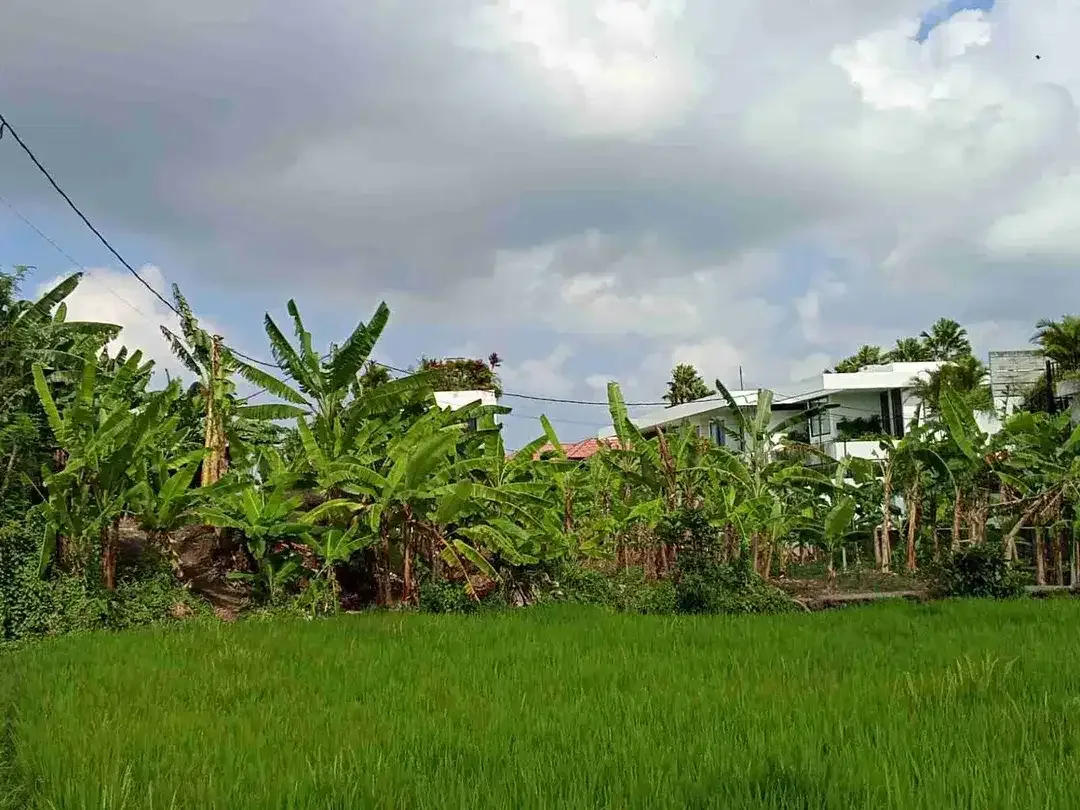 DIJUAL CEPAT TANAH 310m² Jl.TUMBAK BAYU PERERENAN BADUNG BALI. - Image 3 of 10