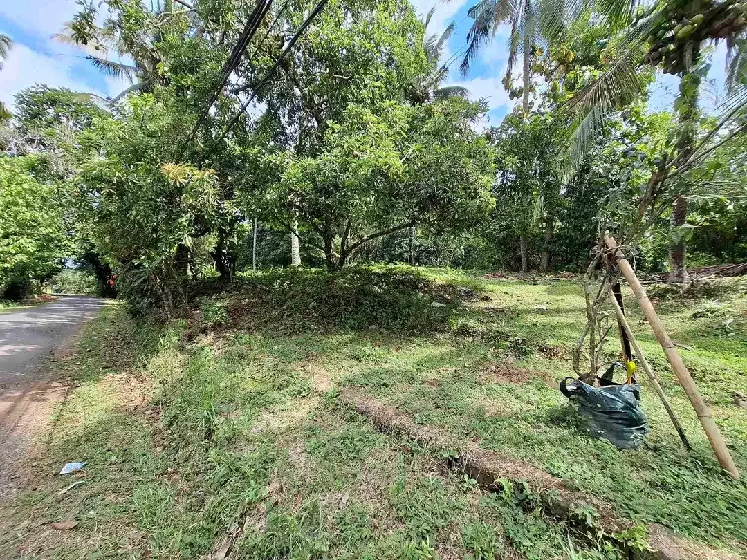 tanah kebun luasan kecil los sungai zona kuning atau zona pemukiman penduduk sudah daerah wisata di tabanan - Image 2 of 9