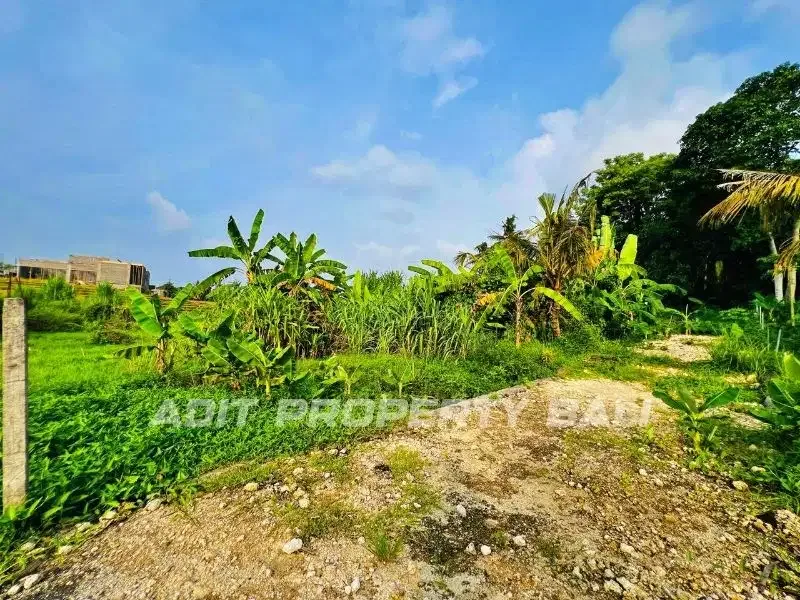 Tanah View Sawah Pantai Nyanyi Kediri Tabanan - Image 8 of 10