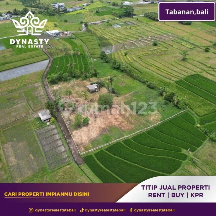 Lahan Premium Nyanyi - Siap Bangun, Siap Cuan :Rocket: - Image 4 of 4