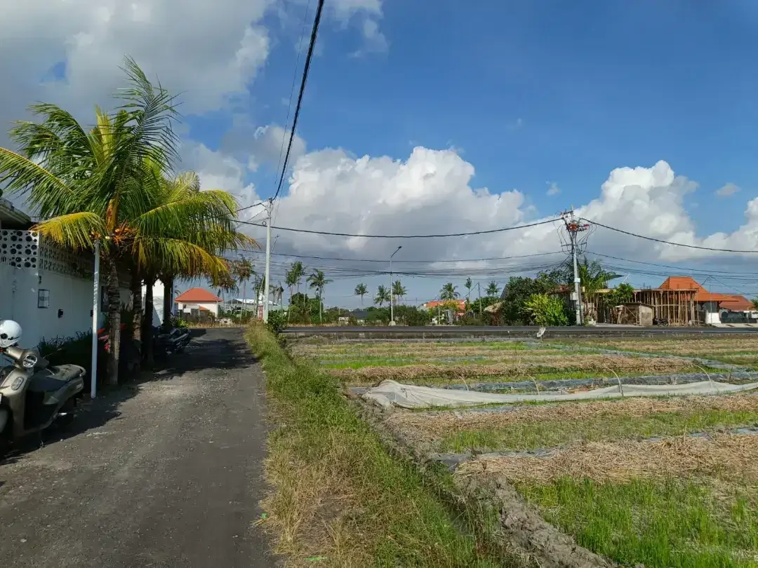 HOT DEAL LEASEHOLD! 4 ARE LAND SESEH – RICE FIELD VIEW, 5 MIN TO BEACH - Image 3 of 5