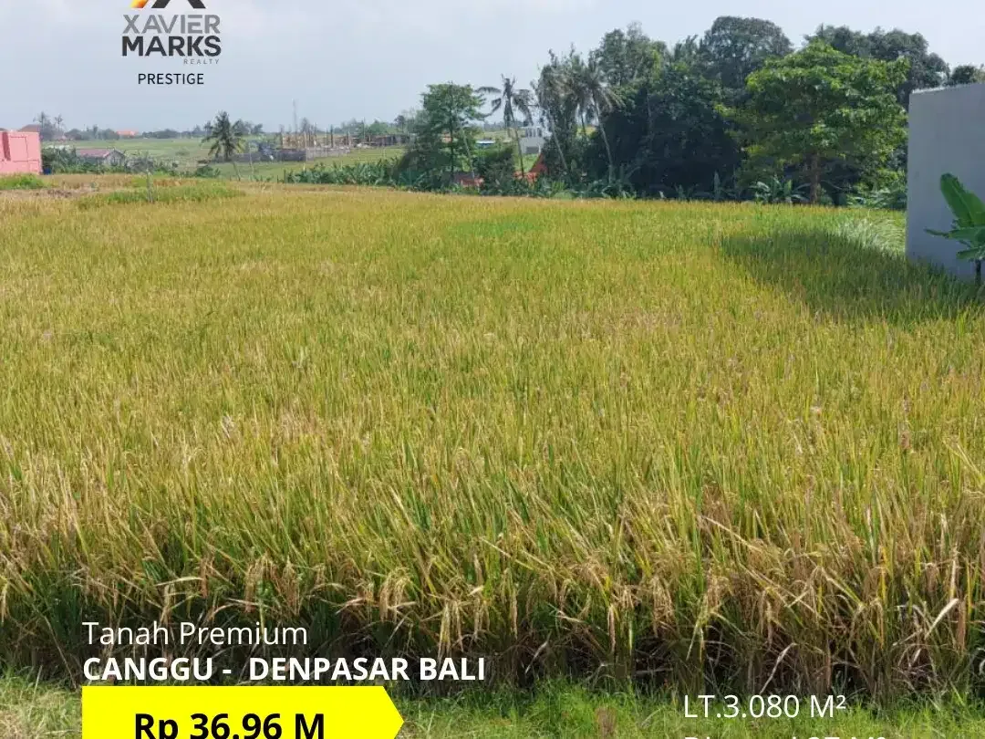 FOR SALE TANAH PREMIUM DI AREA CANGGU DENPASAR BALI - Image 1 of 3