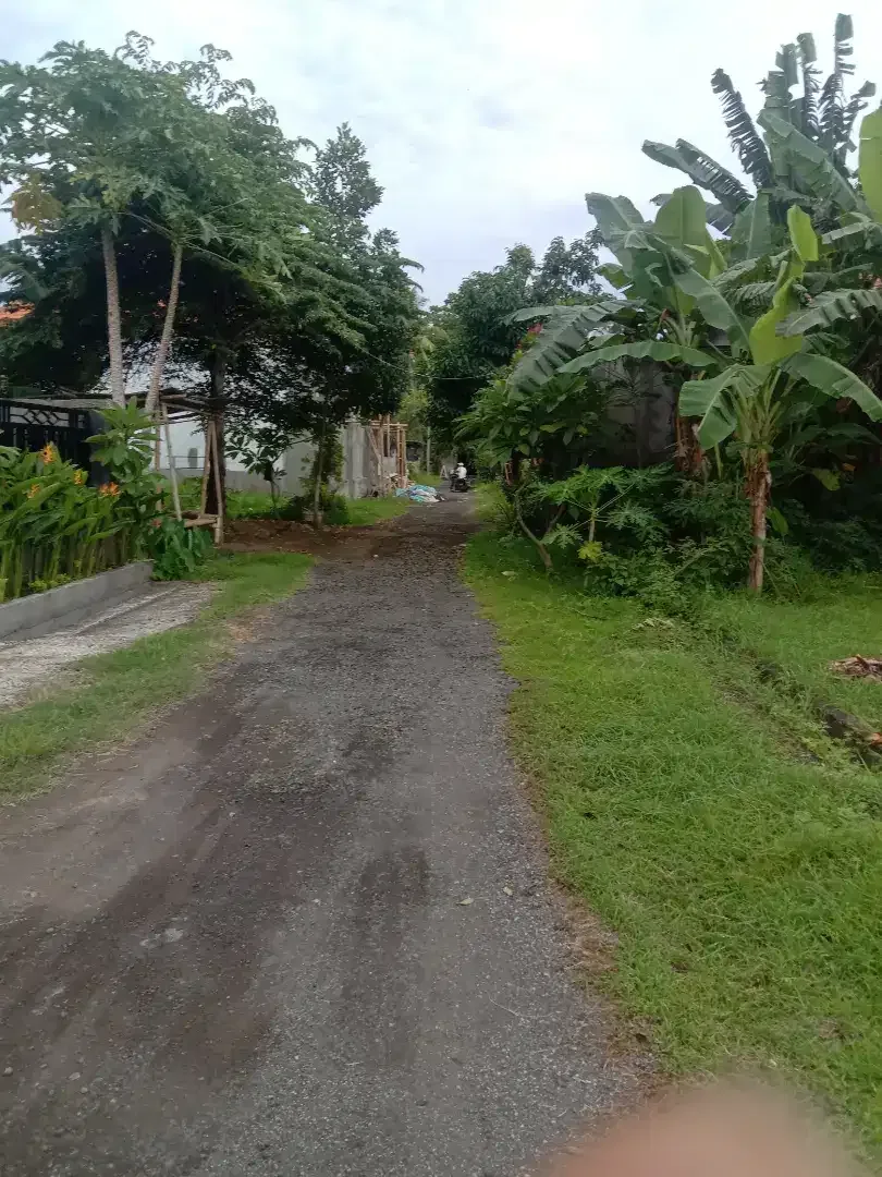 Dijual tanah kapling murah banget di perum elite green lovina residan - Image 9 of 10