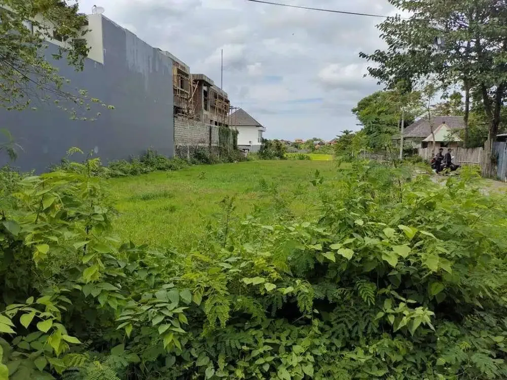 DIJUAL TANAH AREA VILLA LOKASI CANGGU - Image 2 of 4