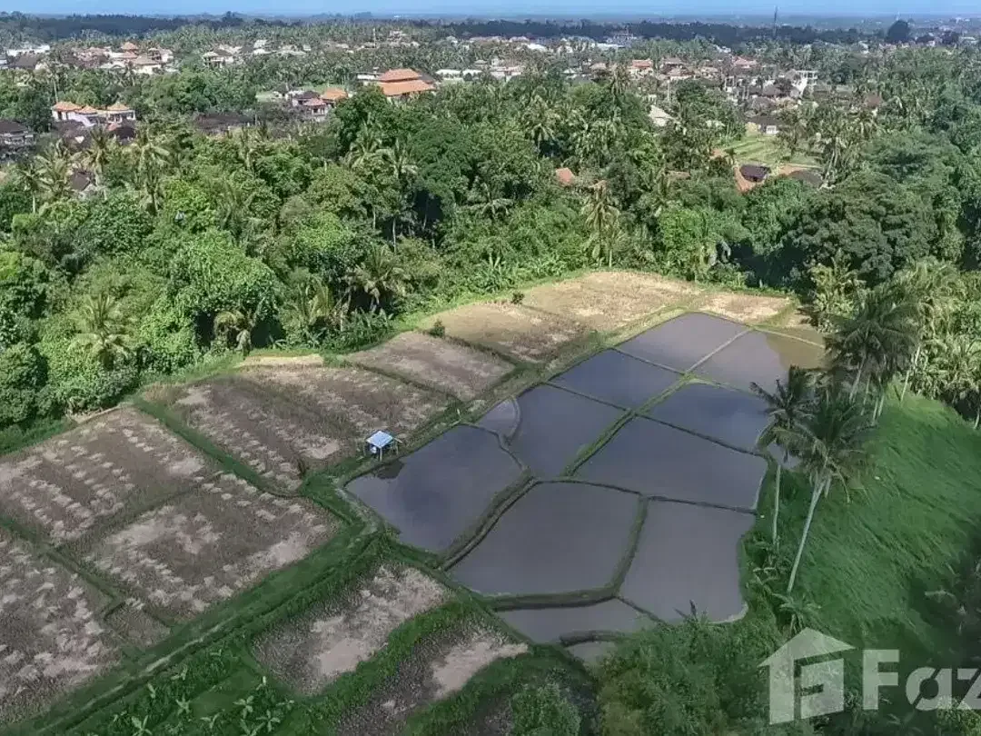 Land for sale in Ubud, Bali - Image 1 of 5
