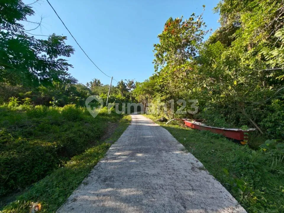 Beach Land. - Image 4 of 4