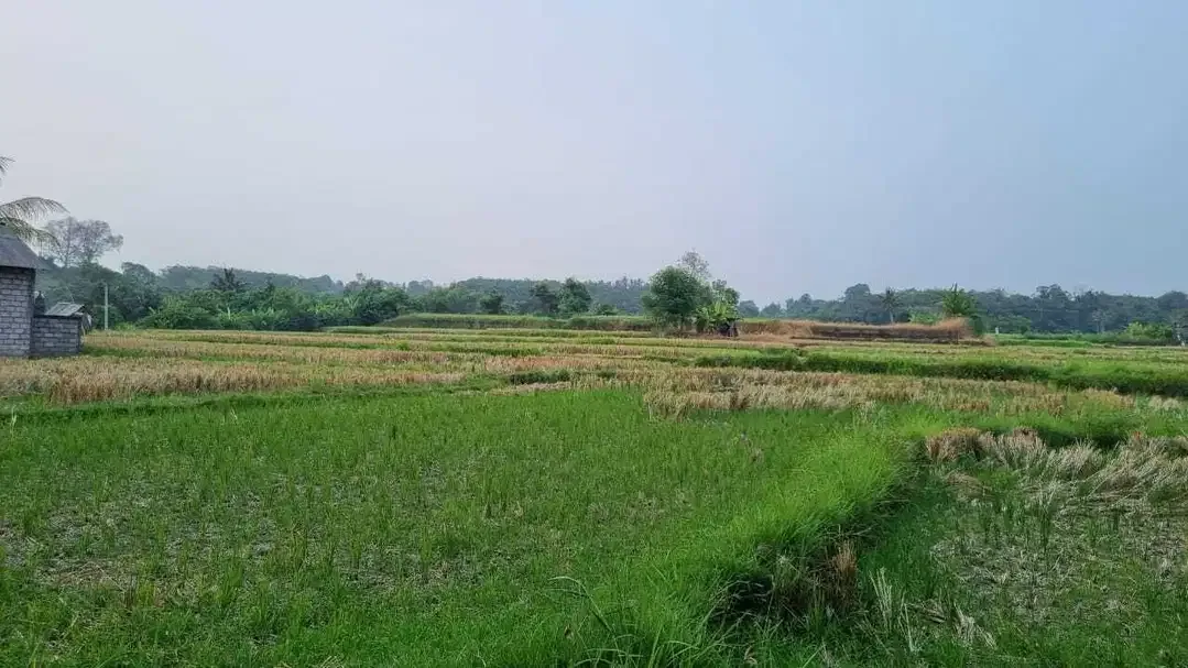 Tanah Murah Di Jalan Utama Bypass Ida Bagus Mantra Lebih Gianyar - Image 1 of 10