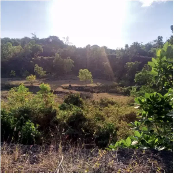 Land for Rent at Pecatu - Image 6 of 10