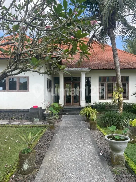 Jual Cepat - Vila Siap Huni Lingkungan Elite di Bali - Image 3 of 4