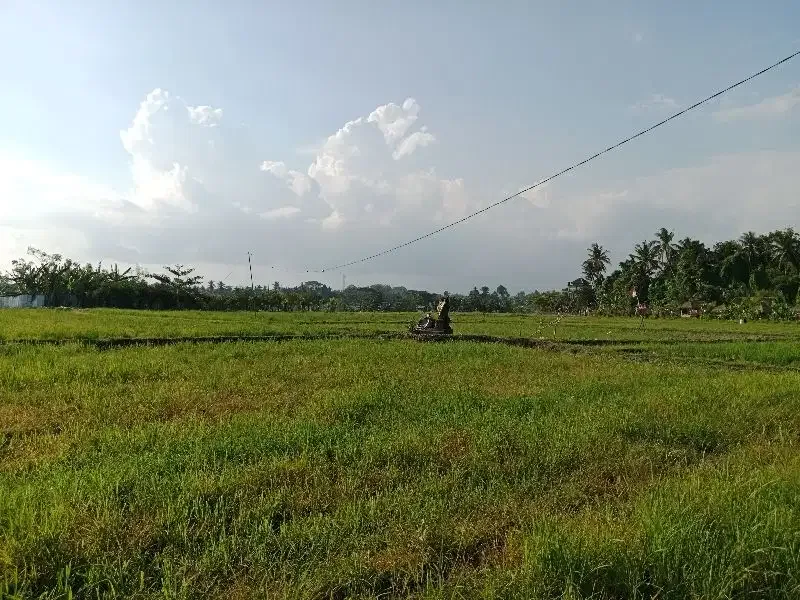DIJUAL TANAH COCOK UNTUK GUDANG DAN USAHA - Image 4 of 9