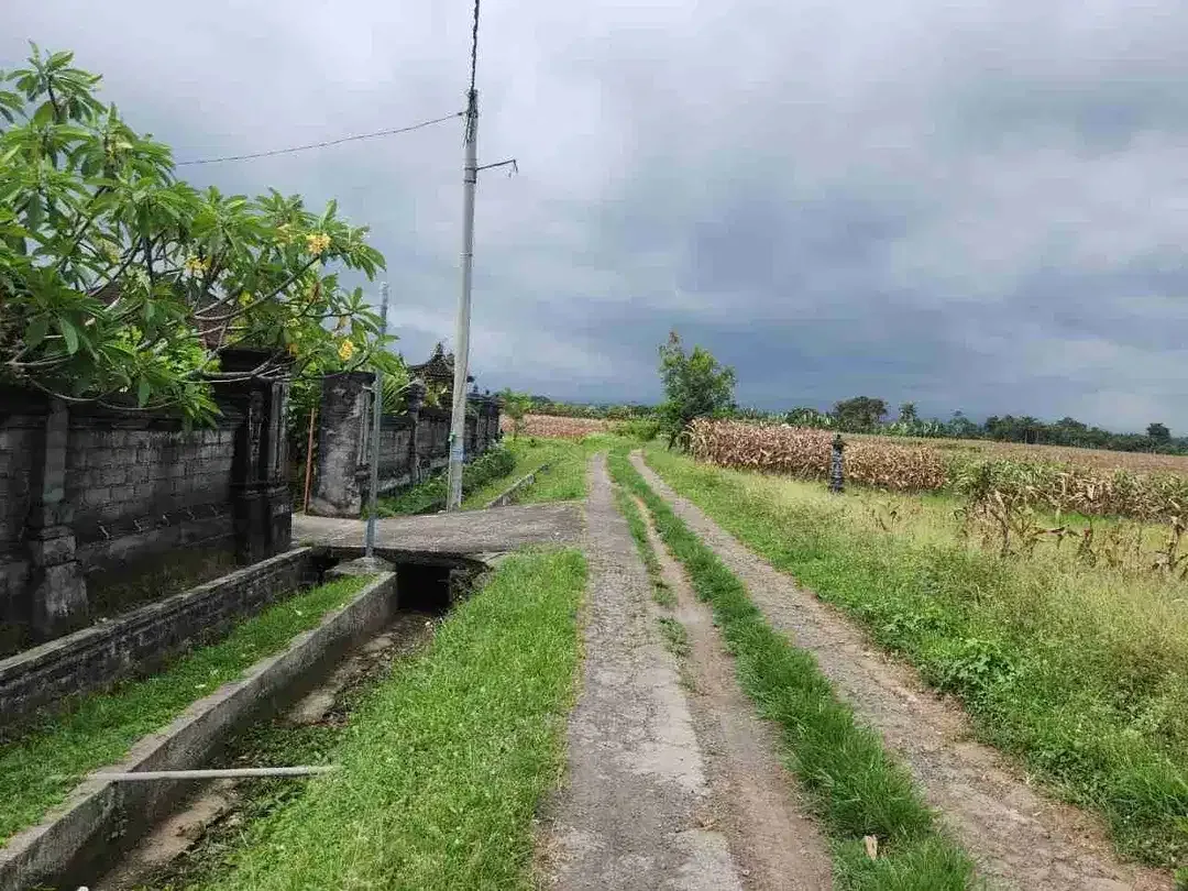 Tanah Langka Full View Sawah dan Laut di Kelecung Tabanan - Image 6 of 10