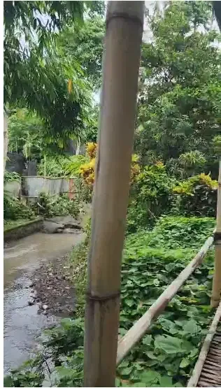 Tanah 55 Are di Kerobokan - Image 7 of 10