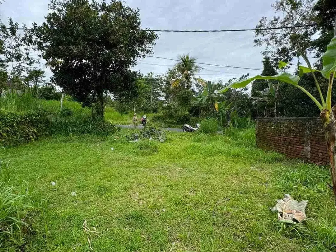 Tanah Premium Jalan Utama Tegalalang Full View Jungle - Image 3 of 9