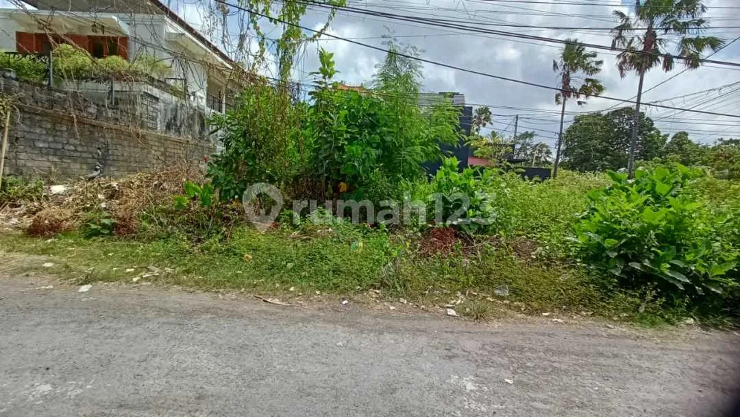 Freehold - Rare Opportunity Land in Strategic Location Seminyak - Image 4 of 4