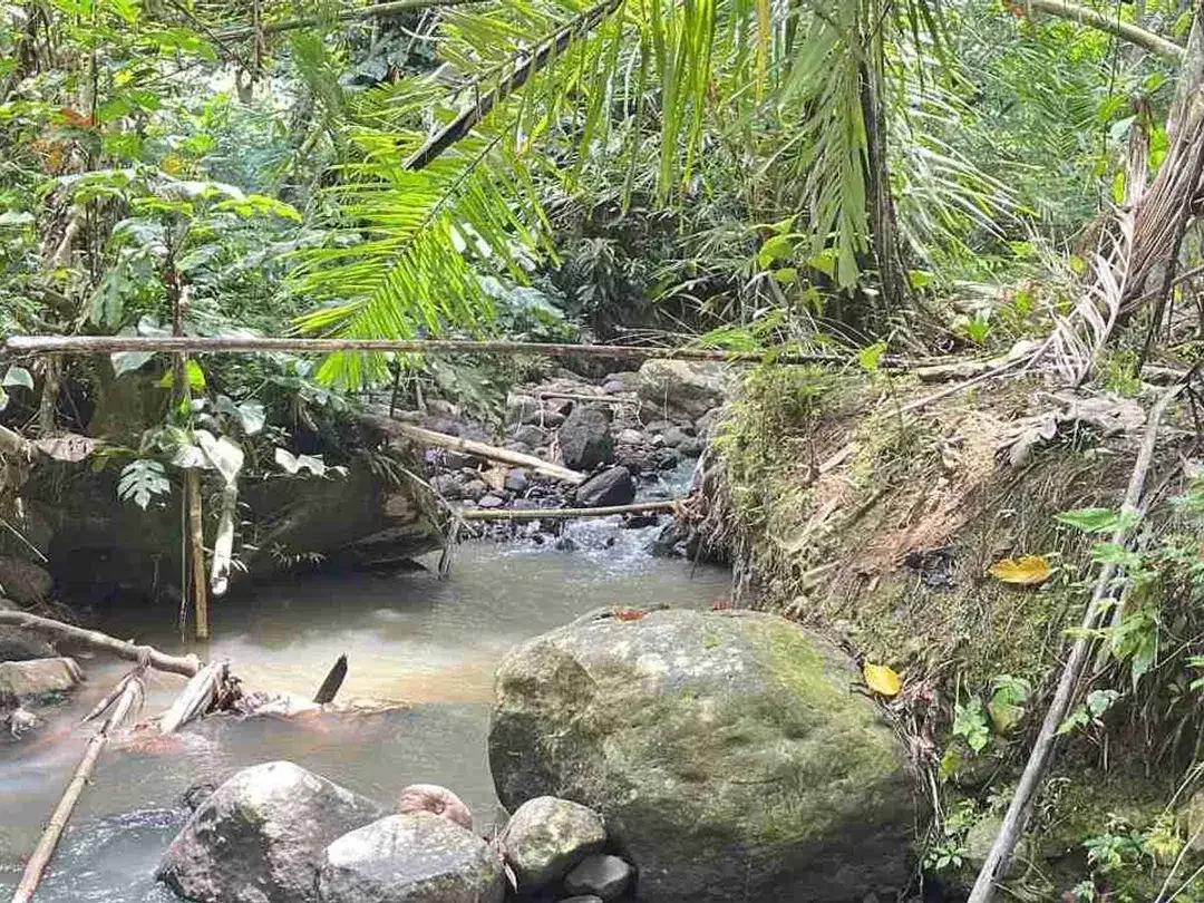 jual tanah di apit dua sungai di desa wisata manikyang, selemadeg tabanan bali. - Image 5 of 10