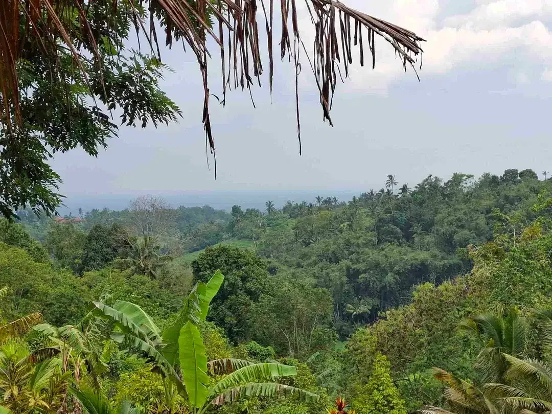 tanah view sawah dan gunung dekat wisata unesco jatiluih - Image 4 of 10