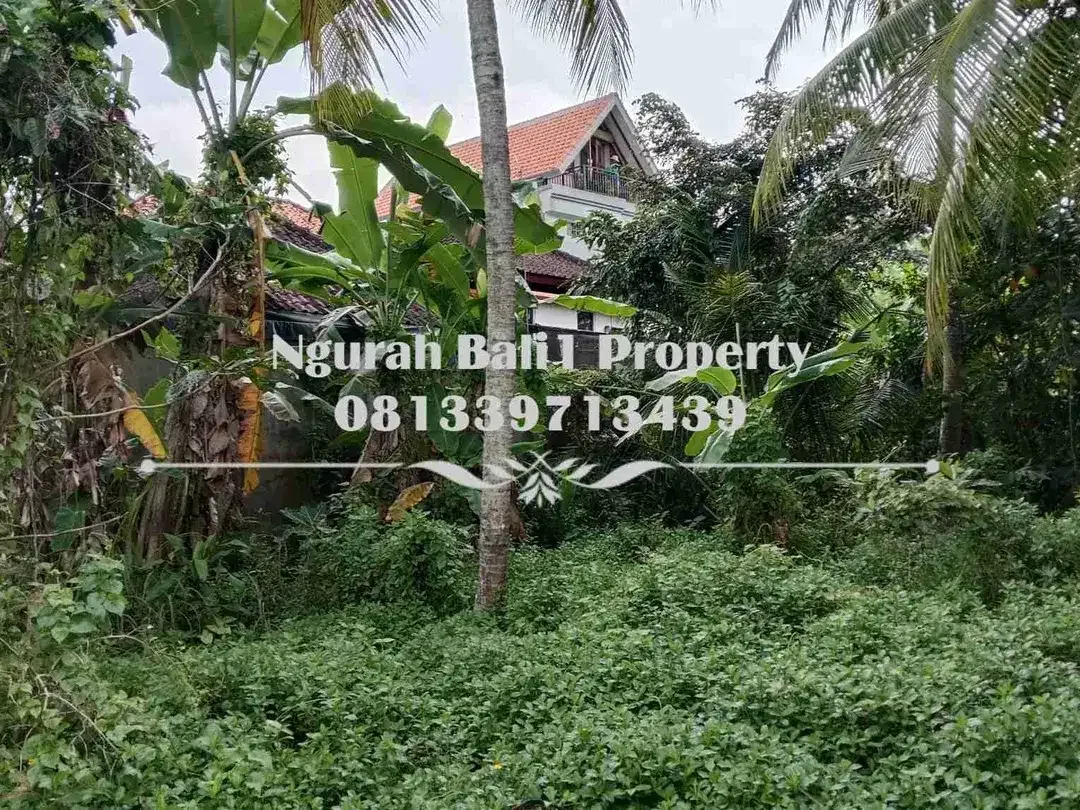 Dijual Tanah Murah Luas 250 m2 Kawasan Villa di Ubud Pejeng - Image 2 of 6