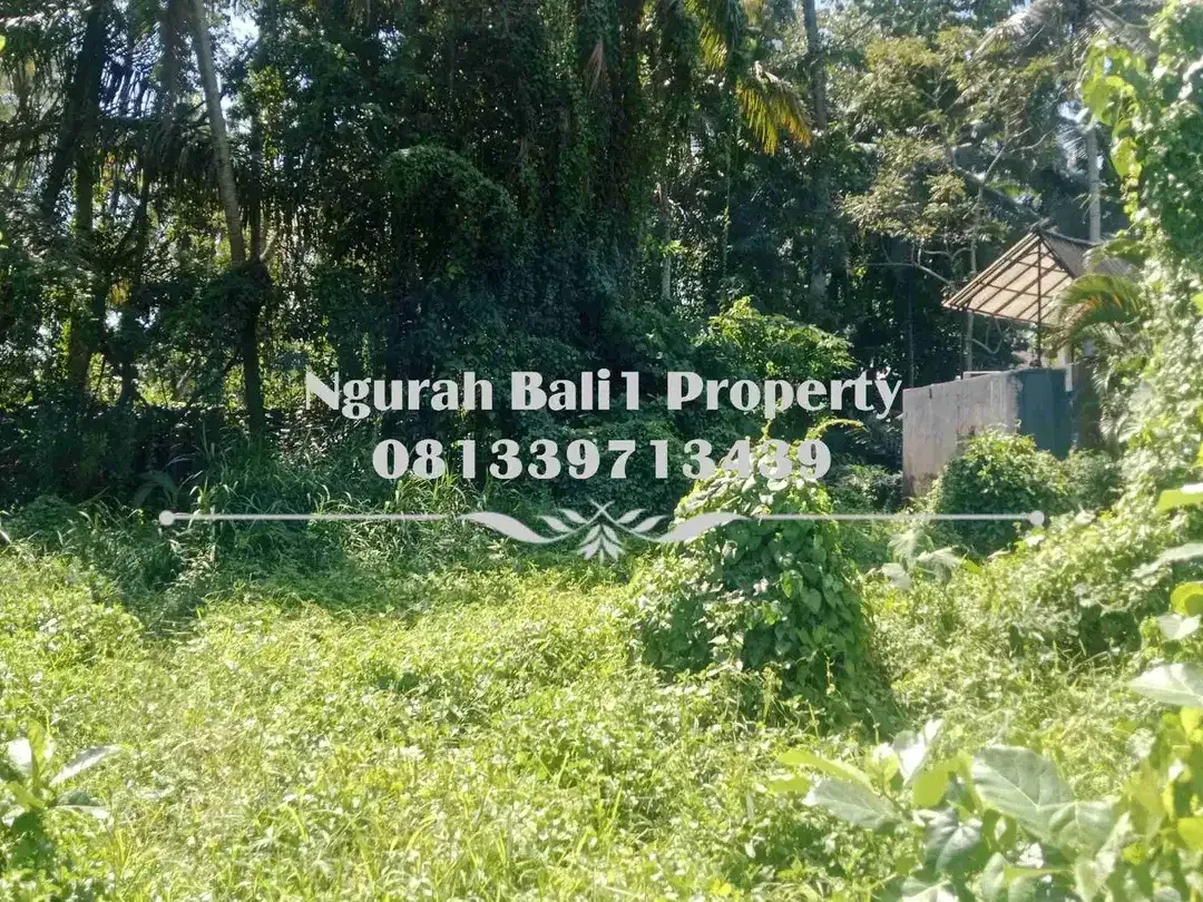 Tanah Premium Disewakan Luas 16,35 Are Kawasan Villa Lokasi Deket Pelangi School Ubud - Image 8 of 8
