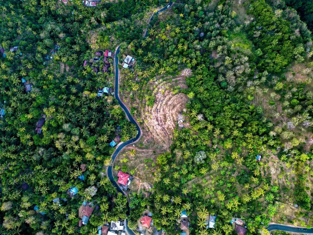 Dijual Tanah Strategis Area Madenan Tejakula Bali - Image 9 of 9