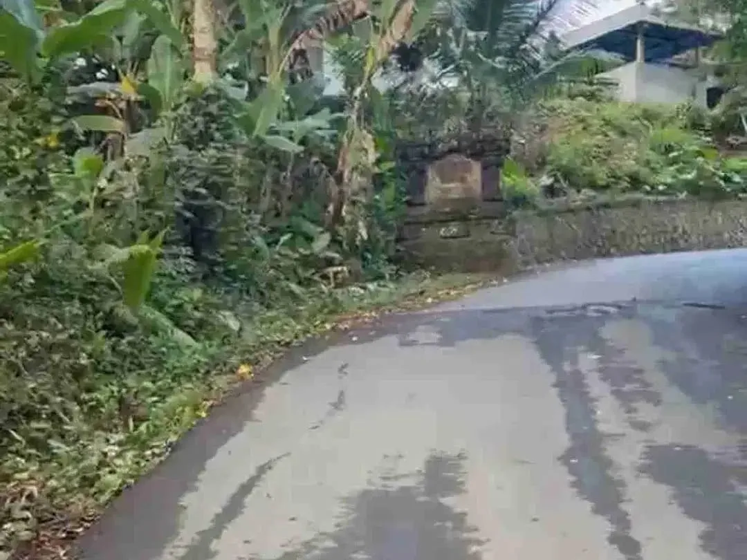 Tanah Murah Los Sungai Begawan Giri Payangan Ubud Bali - Image 6 of 10