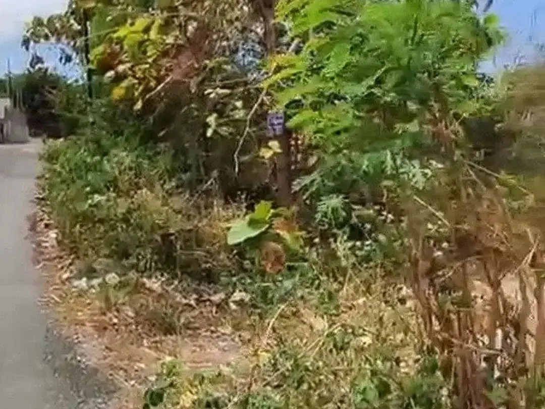 Tanah Kosong di Dekat Jalan Gunung Payung Kutuh - Image 6 of 10