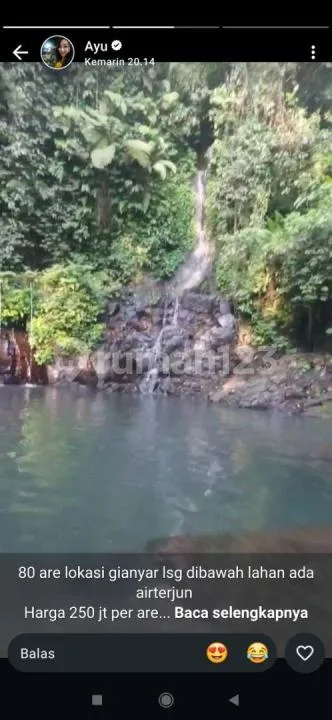 Tanah View Sungai Hutan Airterjun Harga Murah - Image 4 of 4