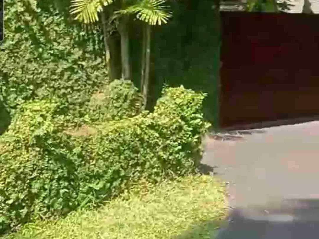 Dijual/Disewakan Tanah 80a di Cemagi Beach Canggu Bali - Image 10 of 10