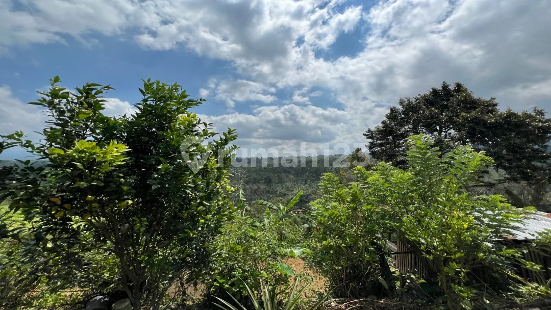 Tanah Buah View Gunung Dan Lembah Indah Di Tabanan Bali. - Image 2 of 4