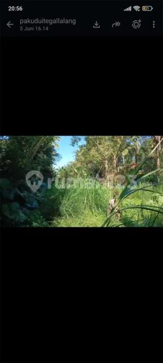 Dijual Tanah Area Tegalalang Ubud Utara Bagus - Image 3 of 4
