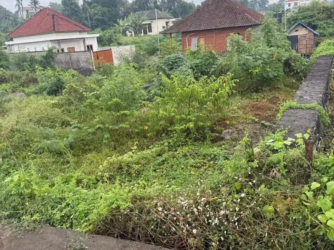 Dijula Tanah Blahbatu Gianyar Dekat Pantai - Image 4 of 6