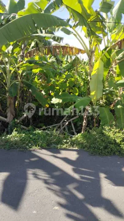 Di Jual Tanah Bagus di Pererenan Cocok untuk Villa Lingkungan Bersih - Image 2 of 4