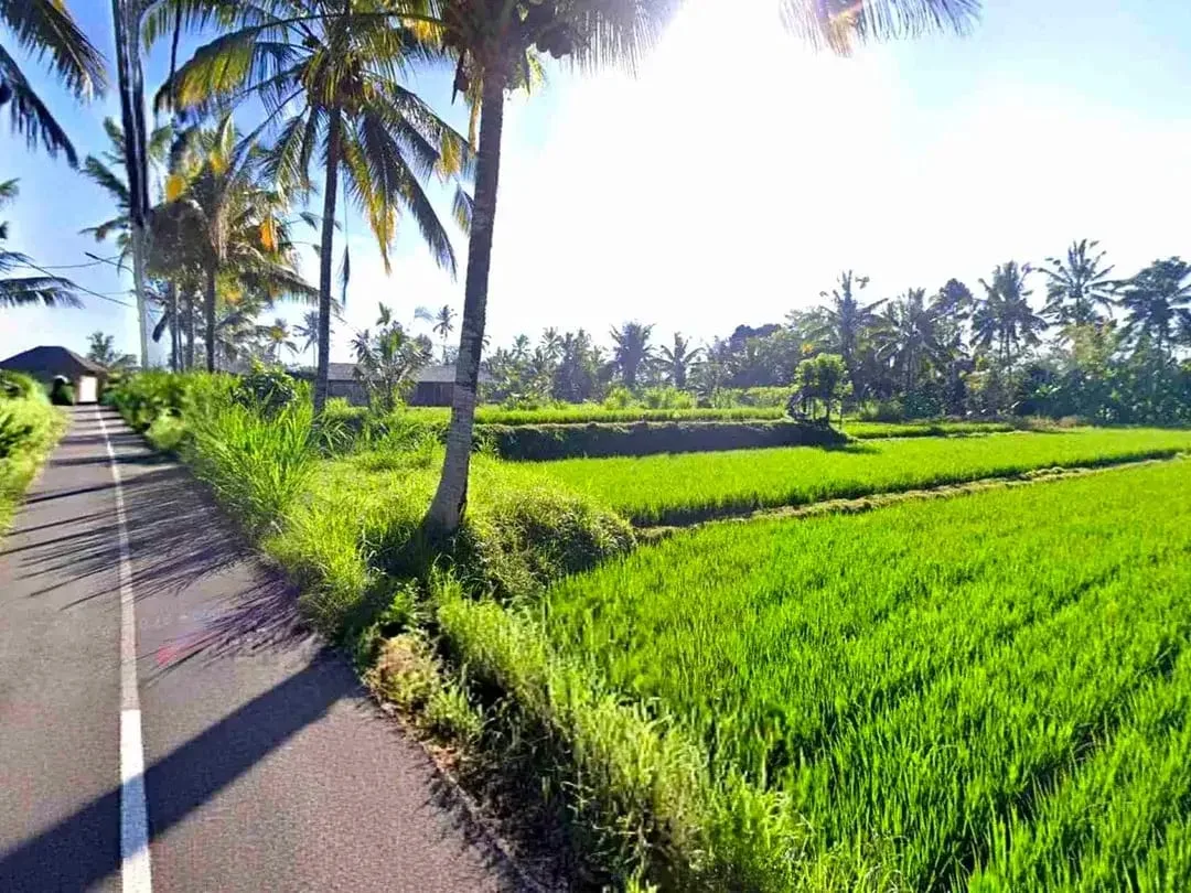 Tanah Riverside Buahan Ubud 500 mtr Hanging Garden hotel - Image 7 of 10